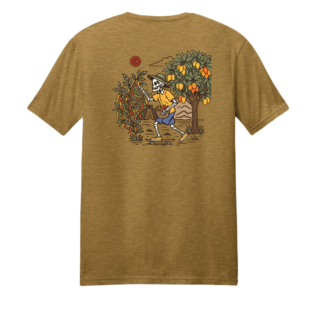 Gold Heather - DM108 - BACK